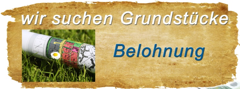 Flyer Bonus Vorderseite Homepage